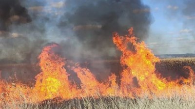 Мешканці Львівщини на Великдень займались улюбленою справою
