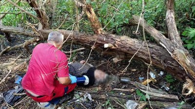 На Львівщині врятували поранену пенсіонерку з-під поваленого дерева