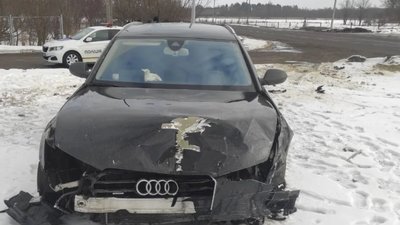 На Львівщині не розминулись Renault та Audi