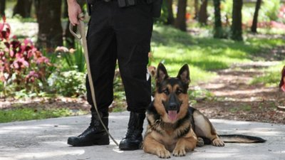 Львівська залізниця на День Незалежності посилить охорону об’єктів і вантажів