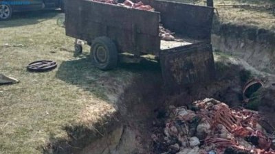 На Львівщині судитимуть чоловіка за забруднення землі рештками тварин