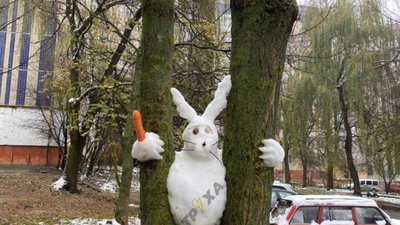 У Львові помітили рідкісний вид зайців (ФОТО)