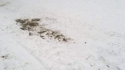 У Львові пориви вітру і ожеледиця