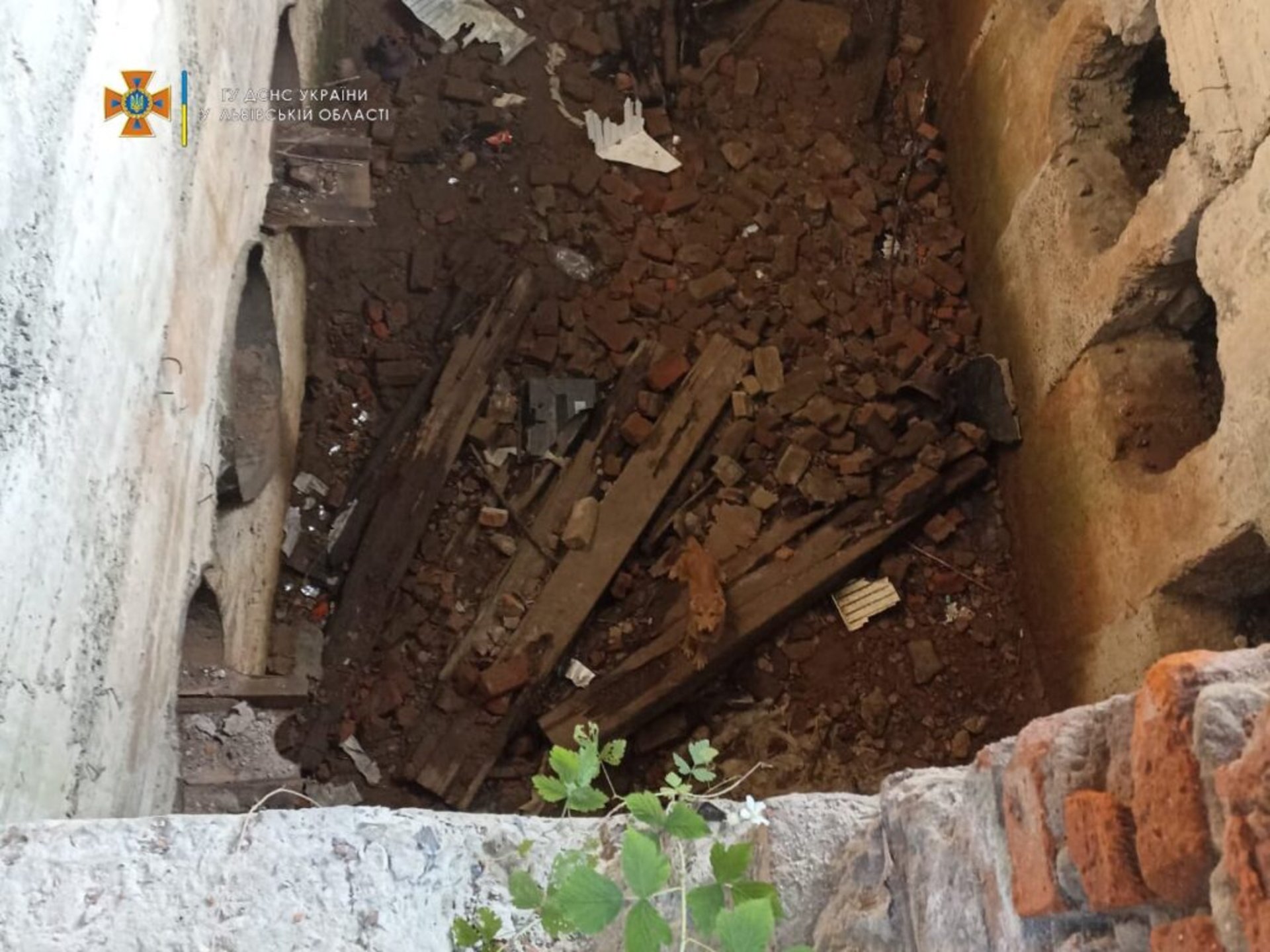 Вранці у Львові рятувальники врятували рудого хвостика