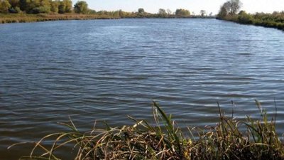 На Яворівщині в озері виявили тіло чоловіка