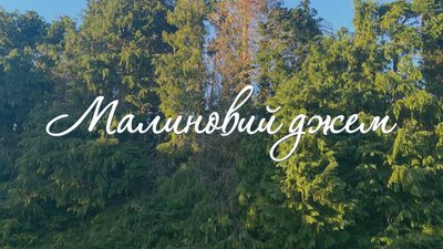 Оля Бородкіна «Малиновий джем»: пісня, про тих, хто переживає біль та натхнення разом