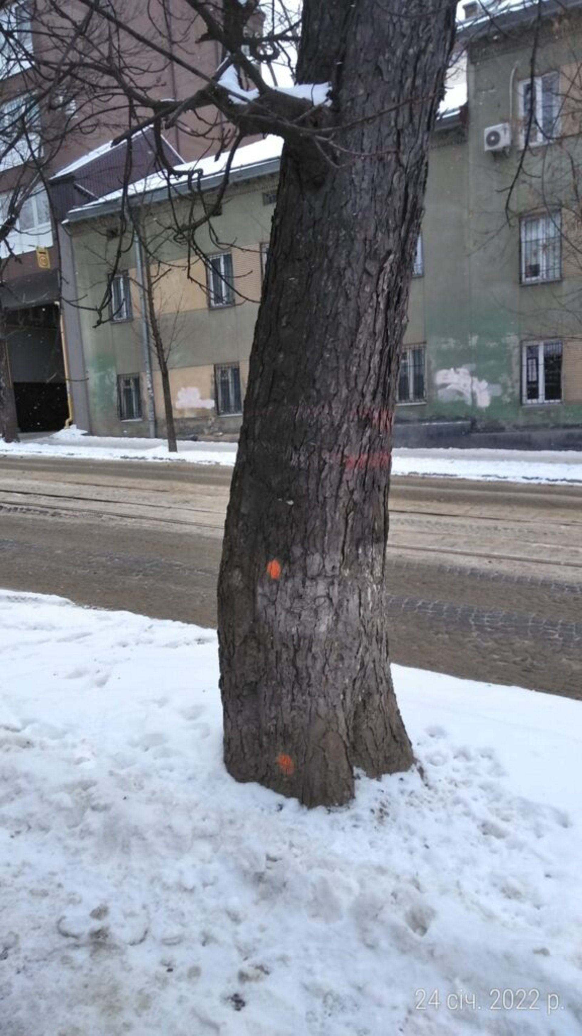 Фото Ярослав Хауляк