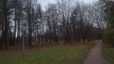 У Львові у парку в обід світять ліхтарі
