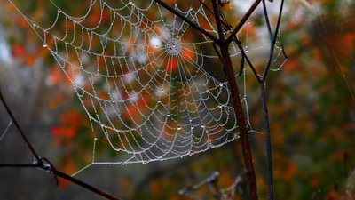 Прогноз погоди на 30 вересня: бабине літо ще триває, але Львівщину трохи "підмочить"