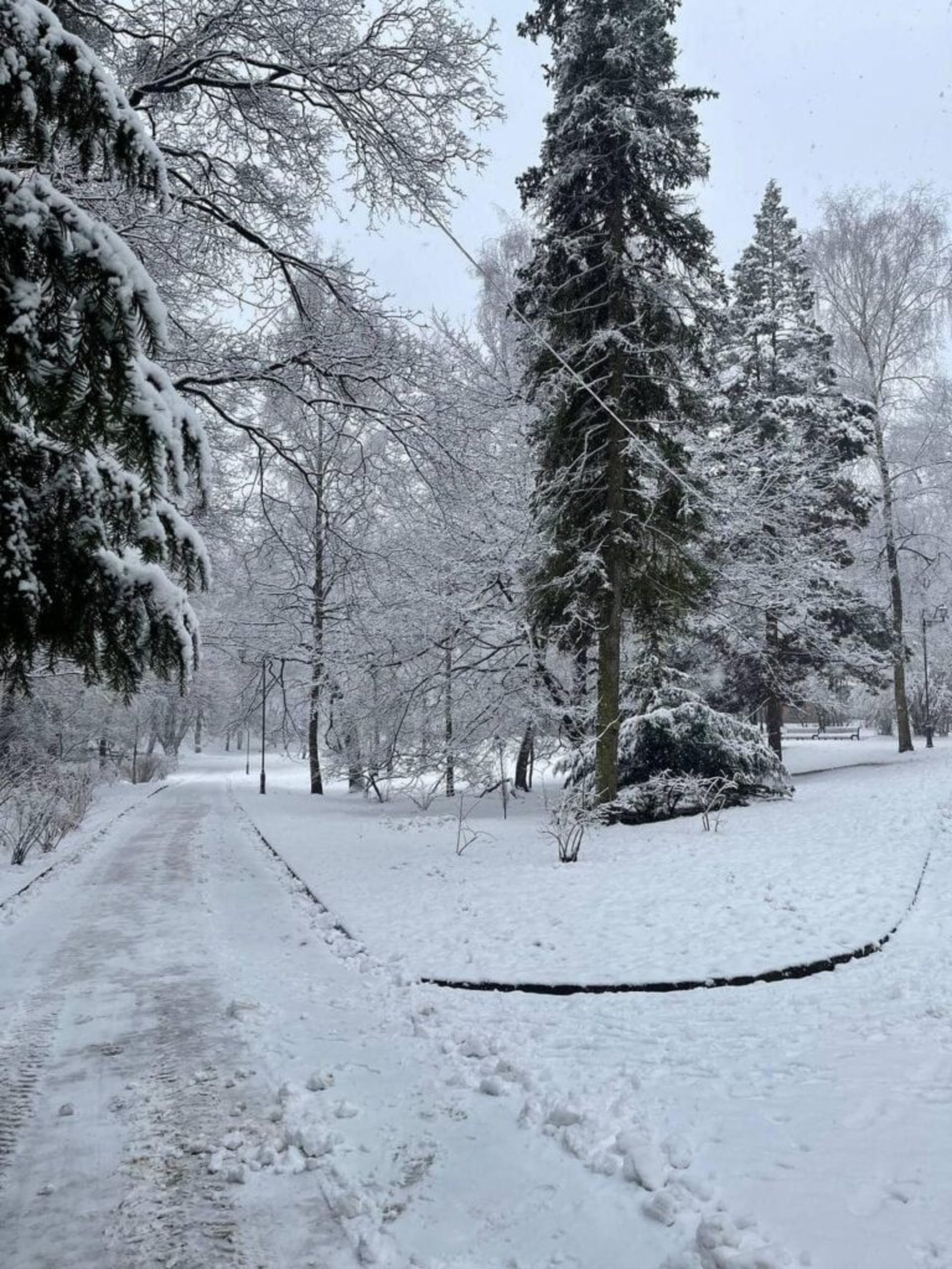 У Львові закликають уникати прогулянок у парках, фото Стрийського парку
