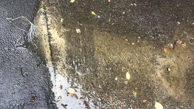 У Львові відкрилось нове джерело (ФОТО)