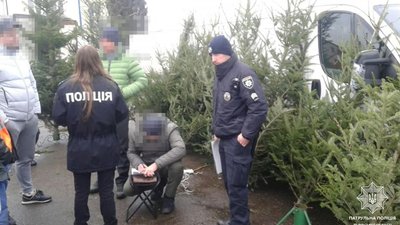 Львівські копи побачили кілька випадків незаконного продажу ялинок