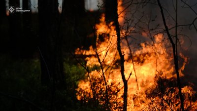 На Львівщині ліквідували 20 пожеж в екосистемах