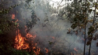 На Львівщині продовжують спалювати суху траву