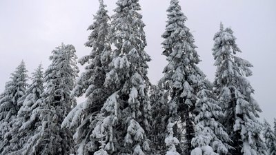Кабмін підтримав створення природного парку «Королівські Бескиди»