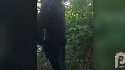 На Волині затримали священика у жіночому одязі (ВІДЕО)