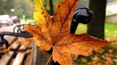 Якою буде осінь у Львові: гідрометцентр і народні синоптики дали свої прогнози