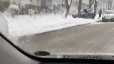 У Львові автомобіль влетів у дерево