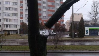 То є Львів: зламаний стовбур дерева висить над пішохідною доріжкою (ФОТО)