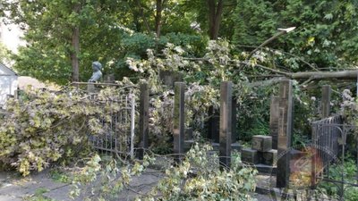 У Львові буревій знищив могили на Янівському кладовищі (ФОТО)