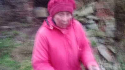 На Львівщині жінка підсипала у їжу тваринам невідому речовину