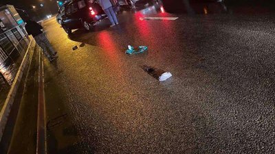 У Львові  водій втік після наїзду на неповнолітнього (ВІДЕО)