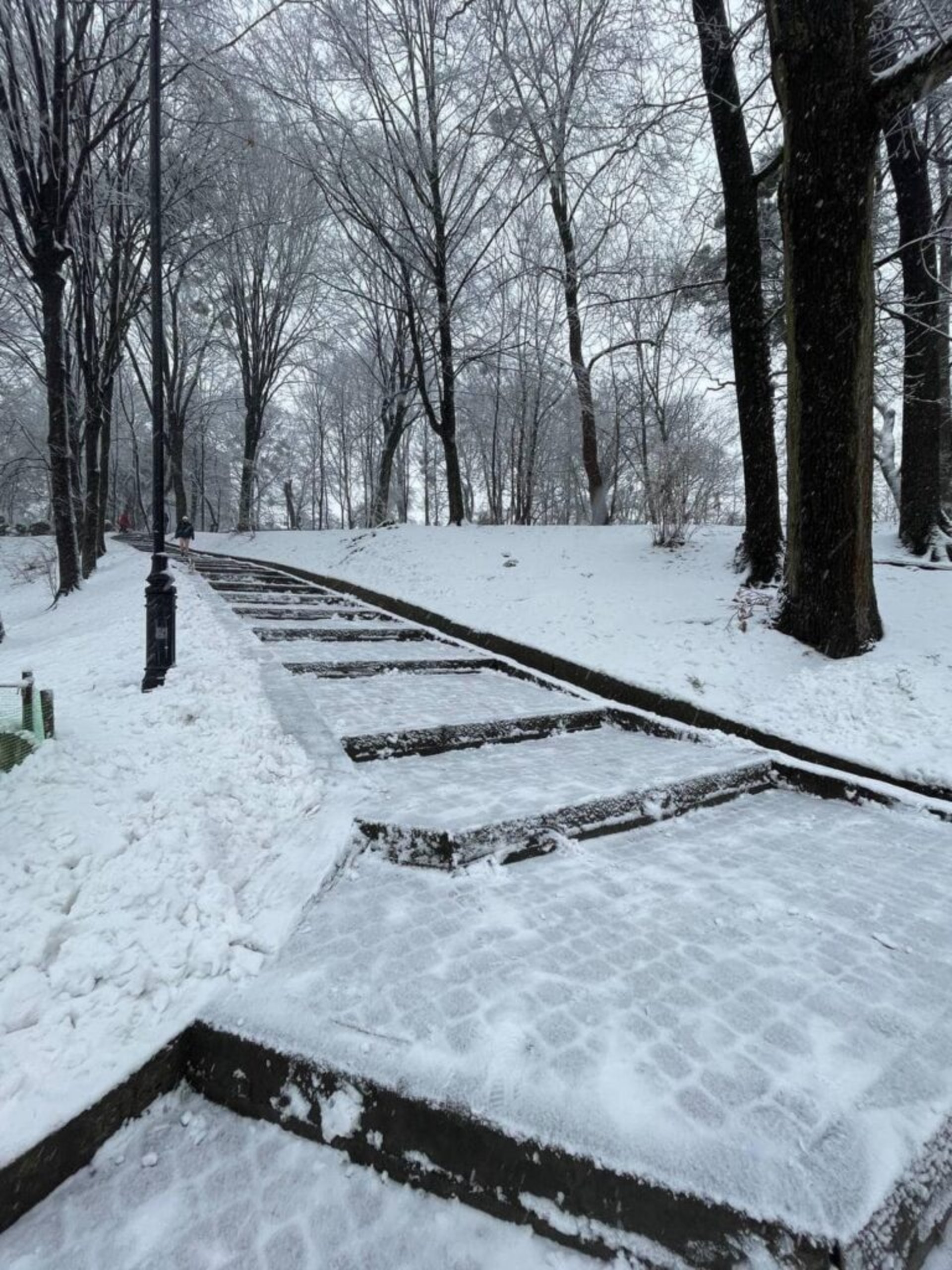 У Львові закликають уникати прогулянок у парках, фото Стрийського парку