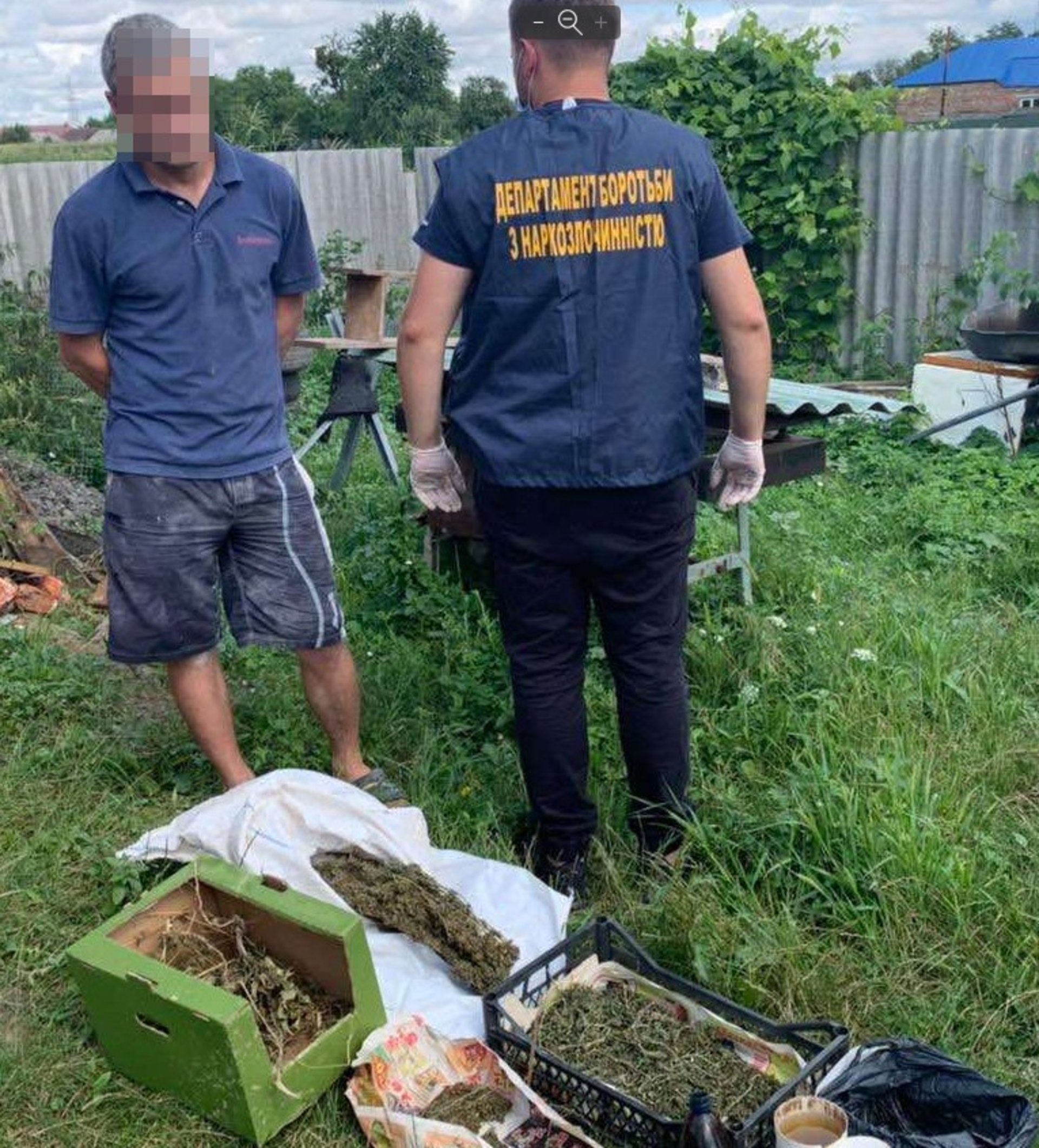 36-річний мешканець Сокаля культивував нарковмісні рослини