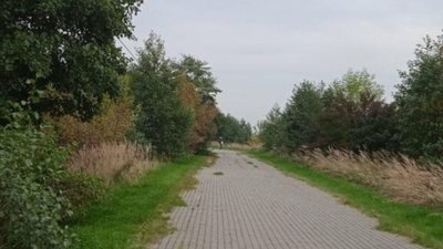 У Львові біля стадіону помітили збоченця (ФОТО)