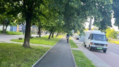 У Львові просять провести санітарну обрізку дерев
