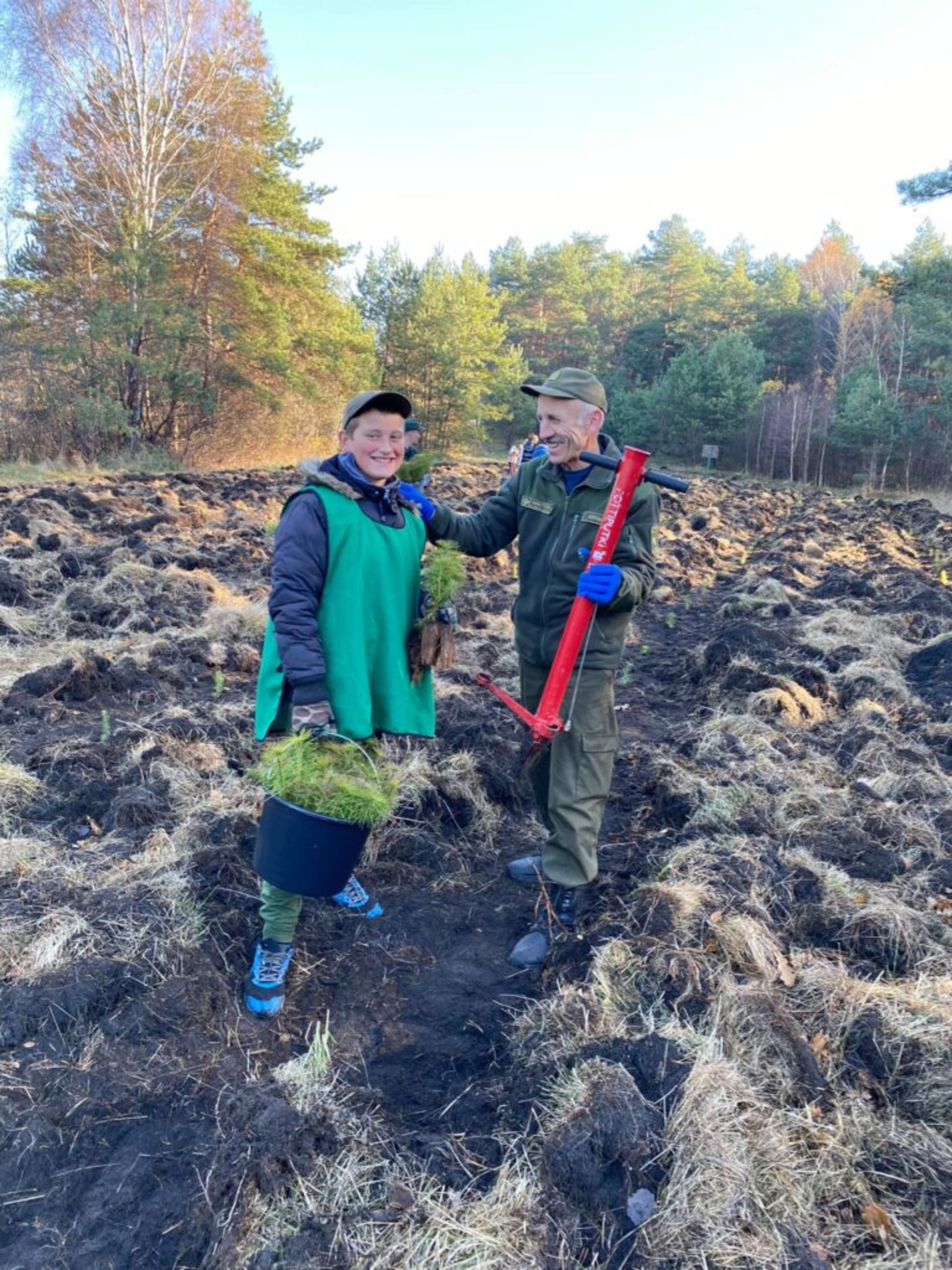 На Жовківщині висадили сосни і дуби