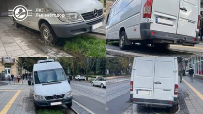 У Львові водій припаркувався на клумбі (ФОТО)