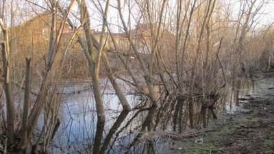 У водоймі біля Львова виявили перевищення концентрації нафтопродуктів у 27 разів