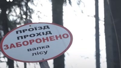 Проект Коломойського. Активісти побоюються, що в Карпатах почалася підготовка до будівництва лижного курорту — NYT