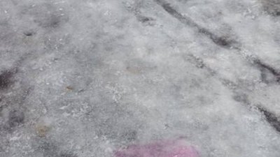 У Львові розкидають отруту для собак