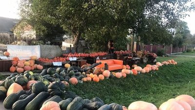 На Львівщині працює магазин без продавця (ФОТО)