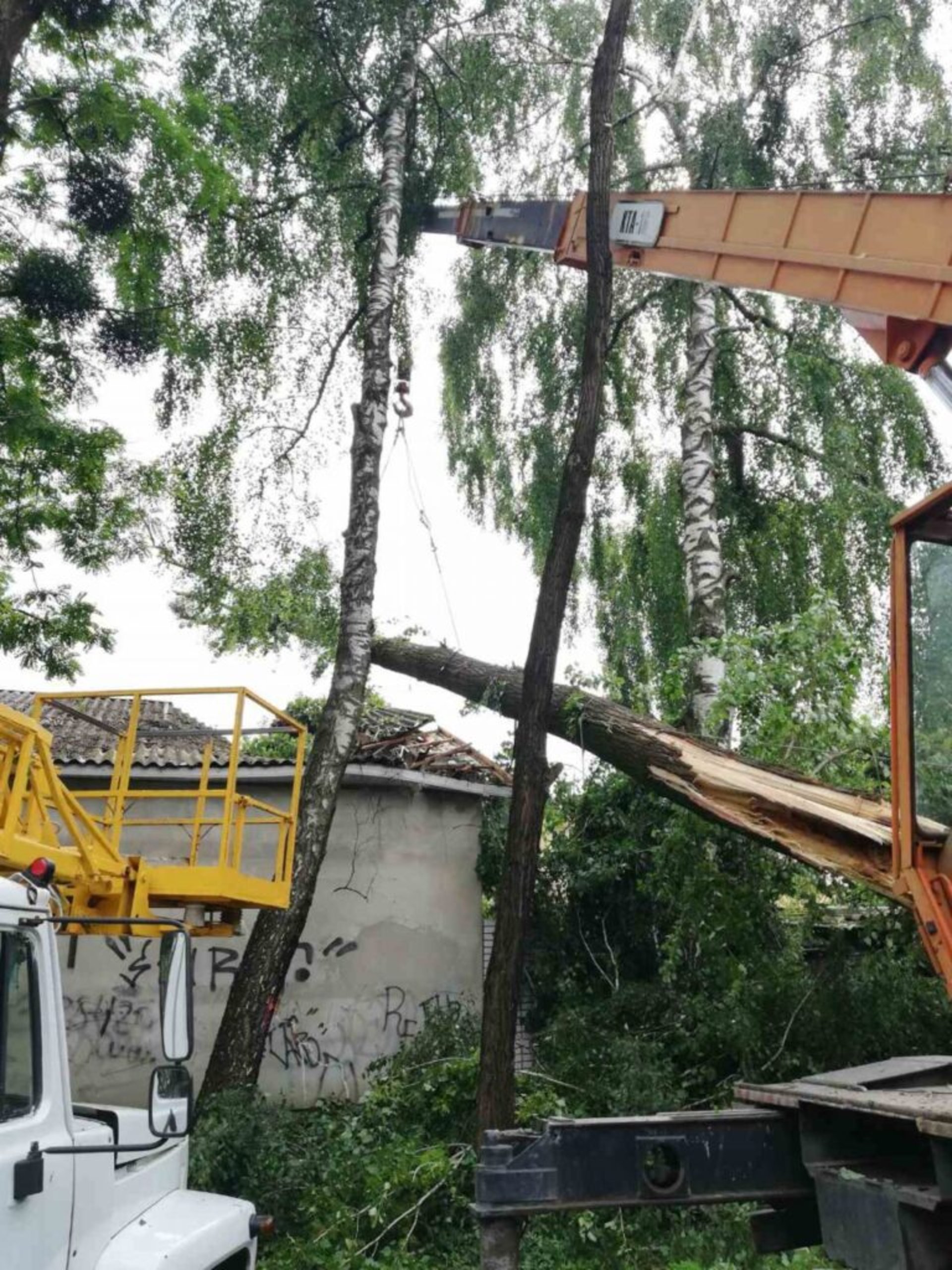У Львові комунальники продовжують прибирати наслідки негоди, фото ЛМР