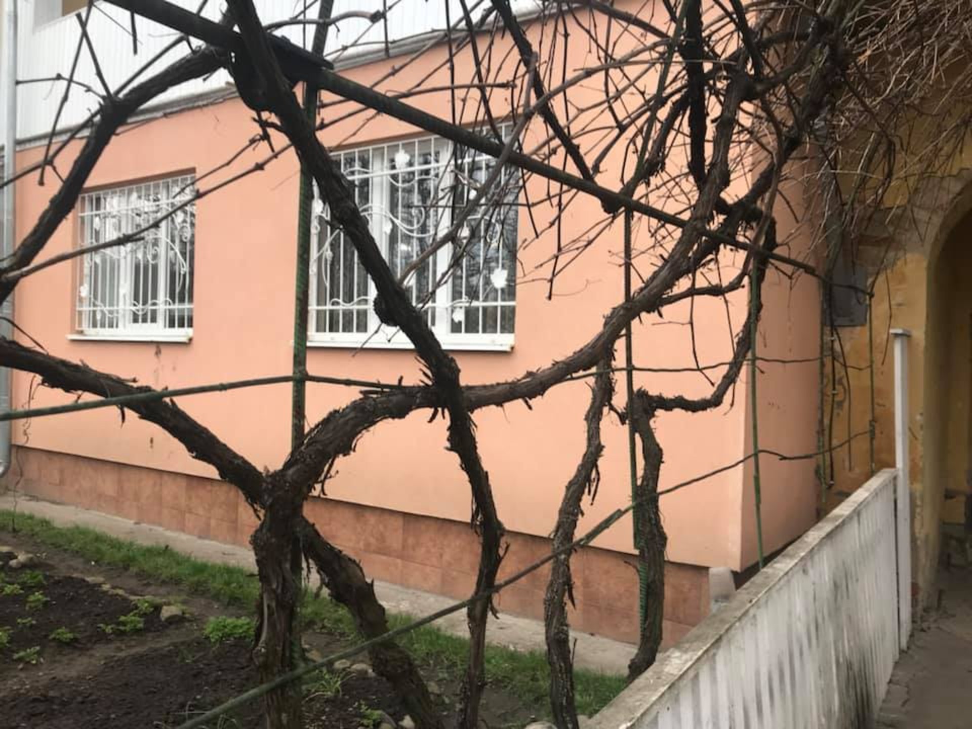 На Львівщині 4-річний хлопчик загинув через ворону. Фото: Вікторія Балицька.