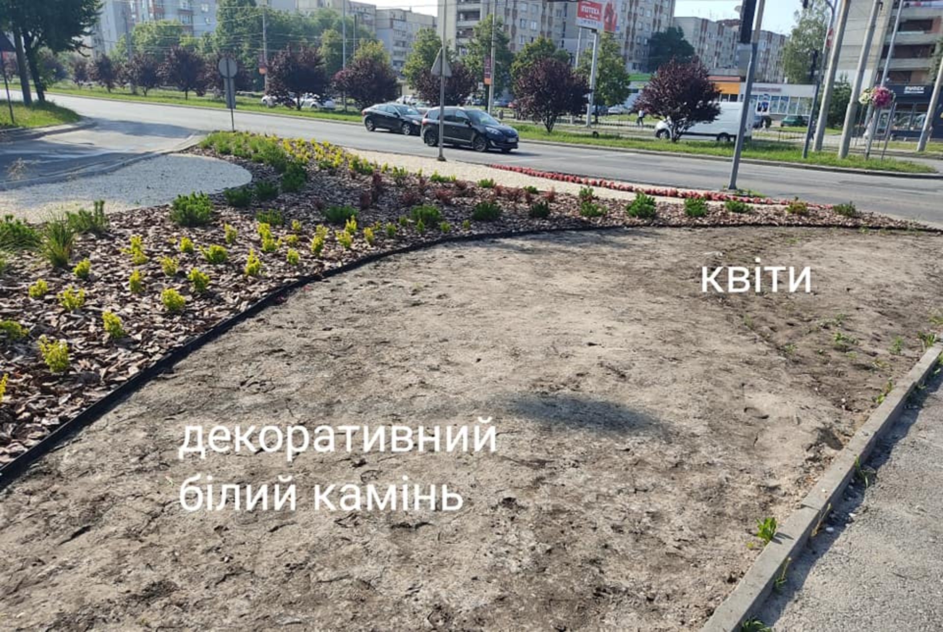 У Львові із клумби вкрали декоративний камінь і квіти, фото ГЛМЛ