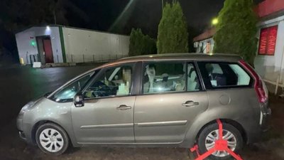 Розшукувані Інтерполом автівки виявили на Львівщині