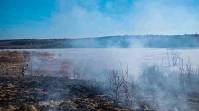 На Львівщині почали палити суху траву