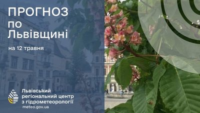 У Львові прогнозують нічні заморозки