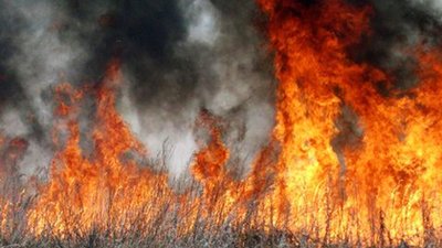 На Львівщині внаслідок спалення сухостою вщент згоріла дача