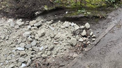 У Львові чоловік біля будинку викручував дерева, щоб облаштувати парковку (ФОТО)