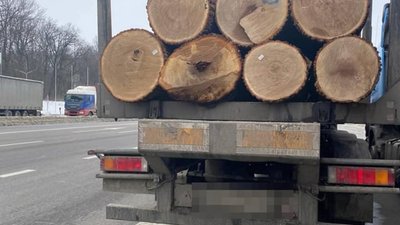 На Львівщині зупинили чотири вантажівки із деревиною (ФОТО)