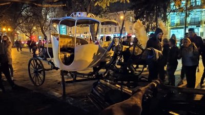 У Львові рятують коня, який протаранив лавку: двоє осіб постраждало (ВІДЕО)