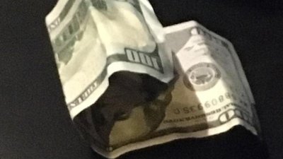 У Львові водій "Лексуса" хотів дати поліцейським 100 доларів