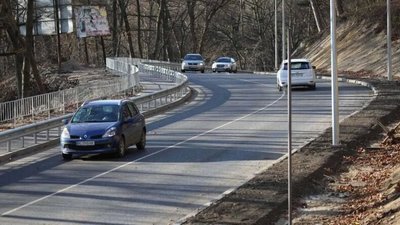 У Винниках дві косулі гуляють по дорозі (ВІДЕО)