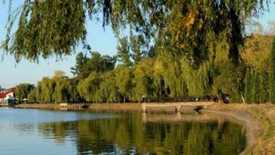 В Івано-Франківську з дна озера підняли 300 кг сміття