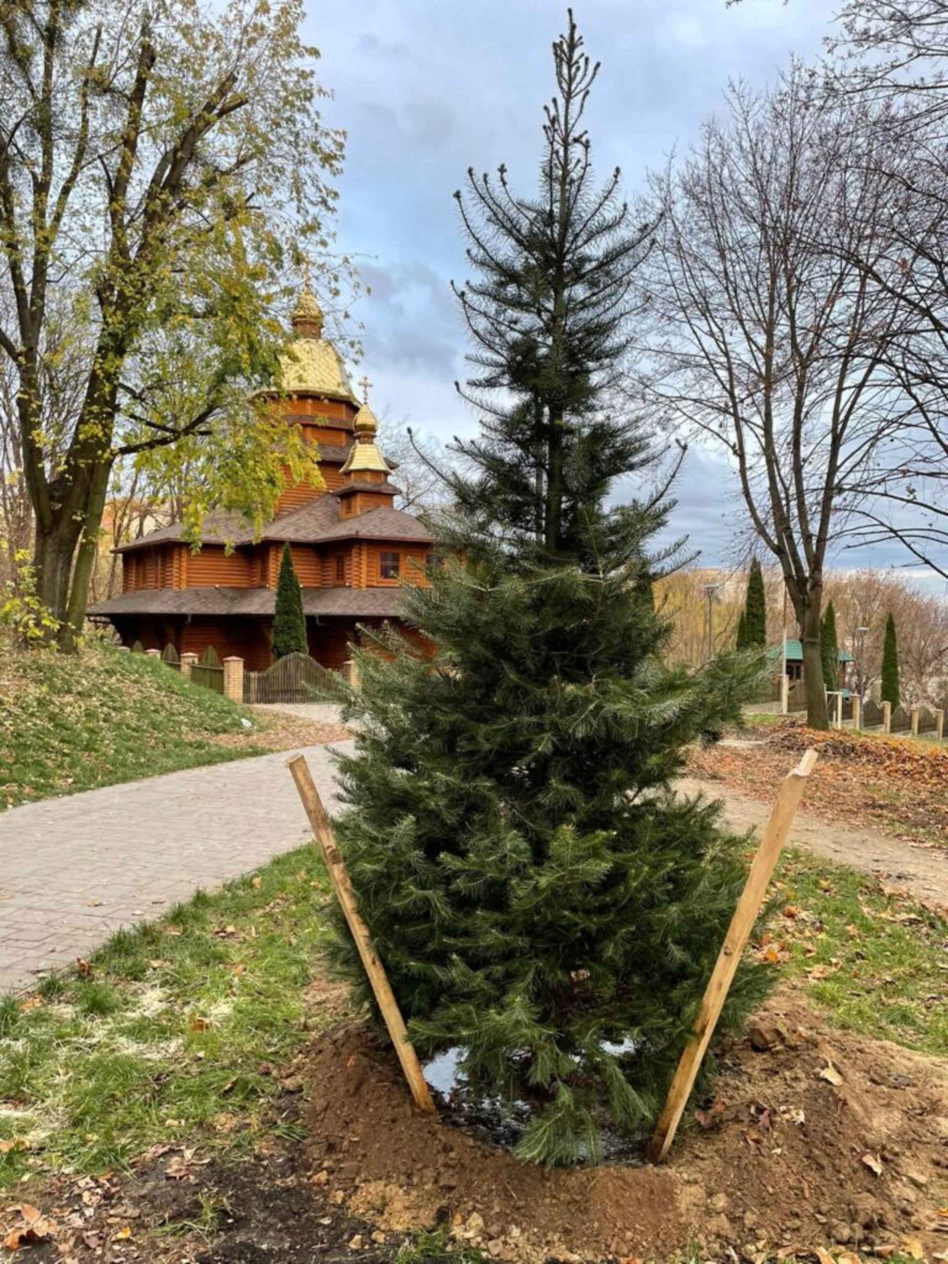 У Замарстинівському парку висадять понад тисячу рослин